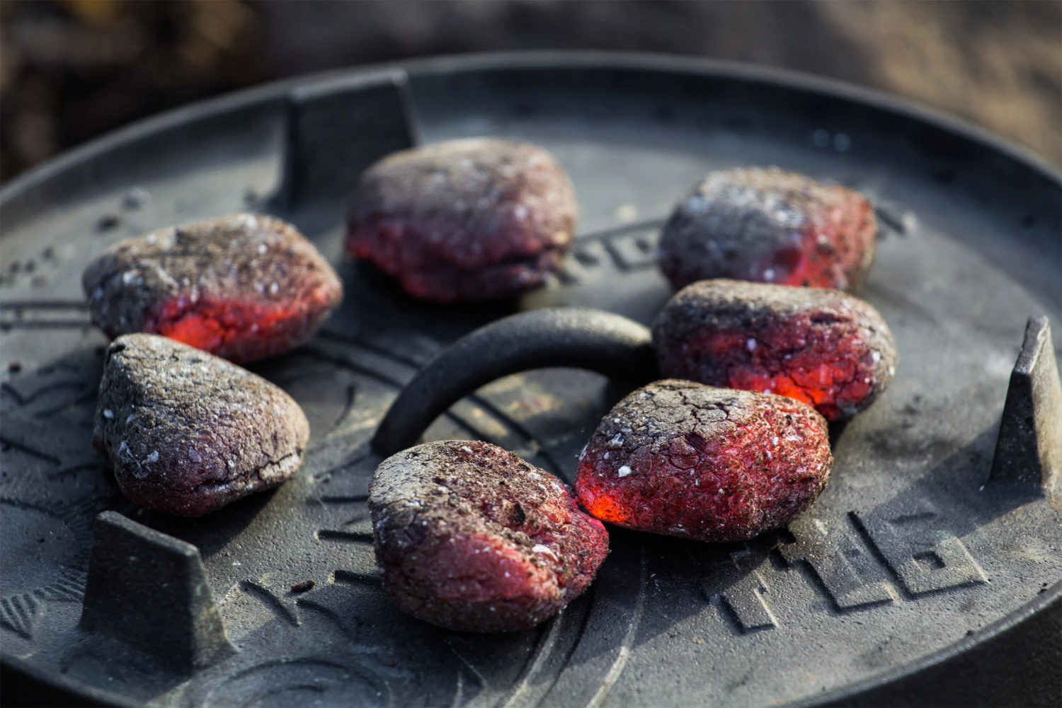 Petromax Dutch Oven FT6 Plane Bottom 6 Petromax Dutch Oven FT6 Plane Bottom - Billede 4