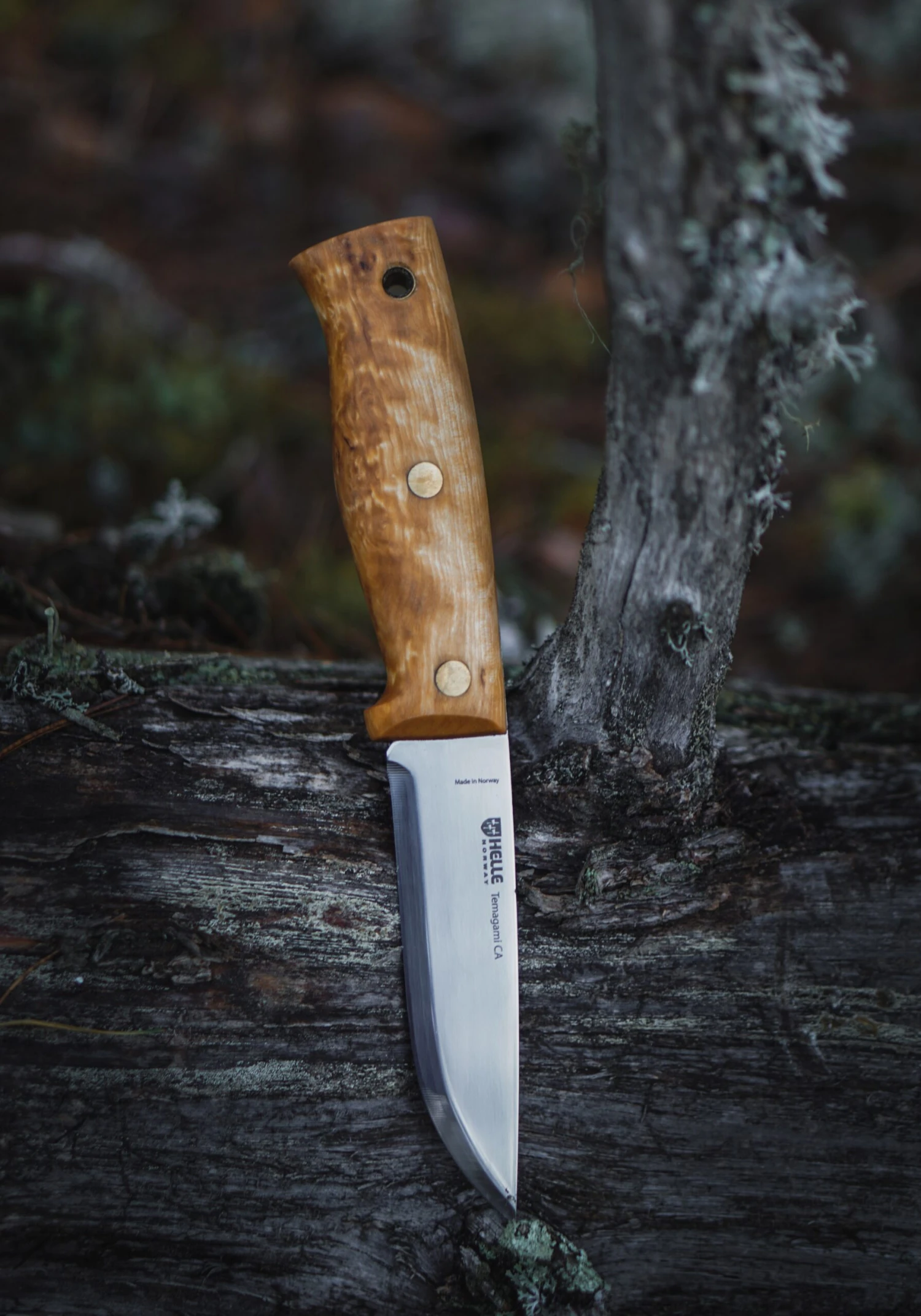 Helle Temagami CA Semi Full Tang Knife 5 Helle Temagami CA Semi Full Tang Knife - Billede 3
