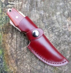 Herbertz Drop Point Belt Knife Sandalwood AISI 440 -Petrobens Butik 92300152 4