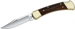 Buck Knives 110 Folding Hunter® Knife